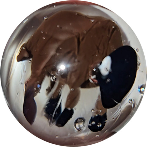 Bison contemporary glass